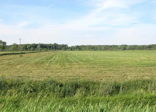 agriculture-land-for-sale-