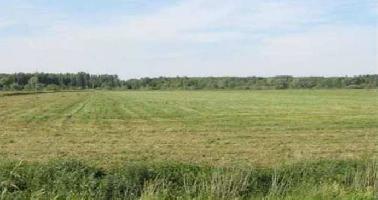 agriculture-land-for-sale-