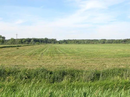 agriculture-land-for-sale-
