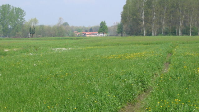 agriculture-land-for-sale-2