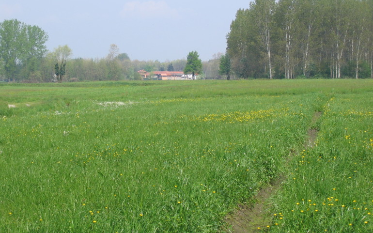 agriculture-land-for-sale-2